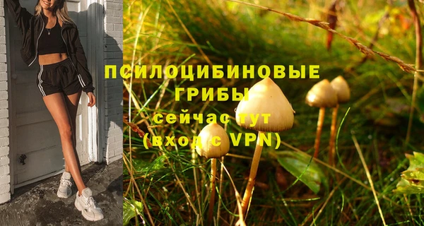 трава Бугульма