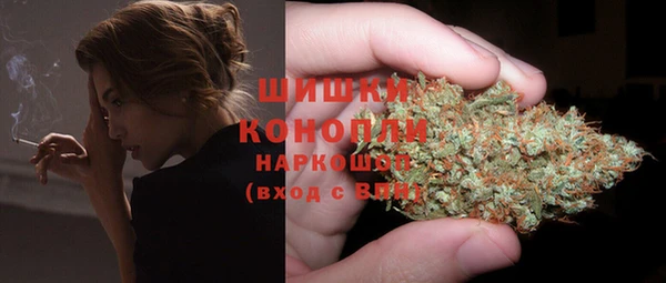 СК Бородино