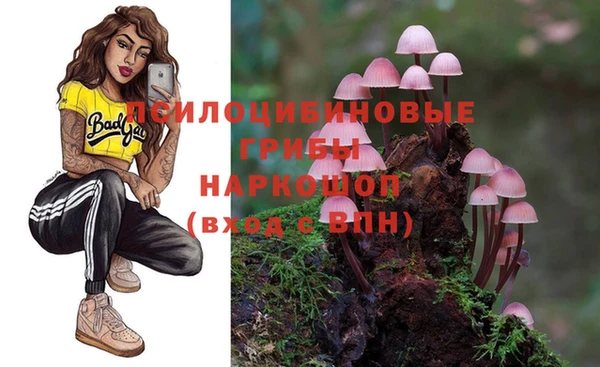 СК Бородино