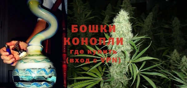 СК Бородино